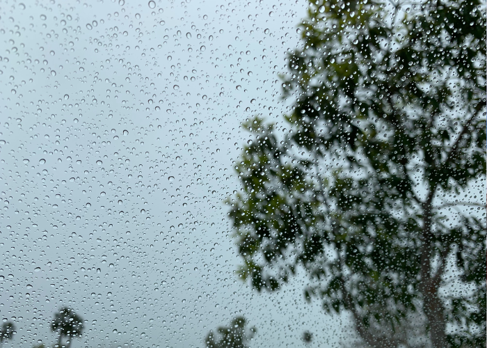 අද කාලගුණය