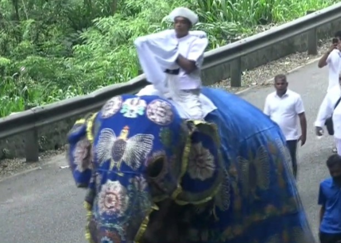 ඇසළ පෙරහරට කප් සිටුවීම හෙට (VIDEO)