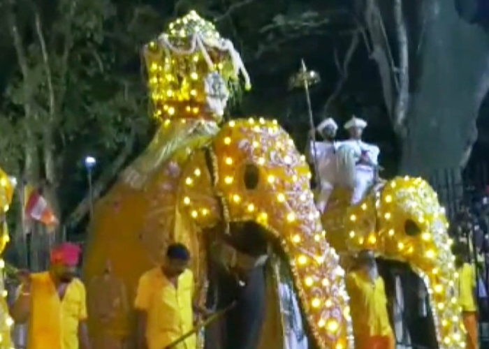 තුන්වන කුඹල් පෙරහැරට සියල්ල සූදානම් (VIDEO)