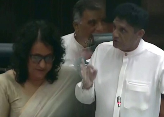 ආදායම ගැන කියන හරිනි (VIDEO)