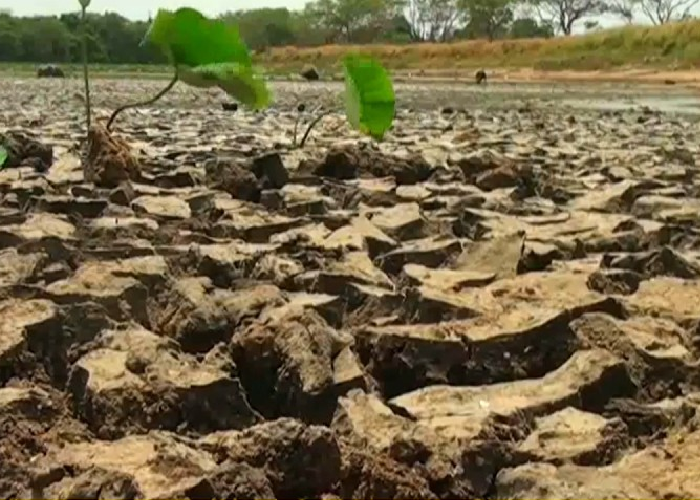 88,000කට එල් නිනෝ වෙන් බලපෑම් (VIDEO)
