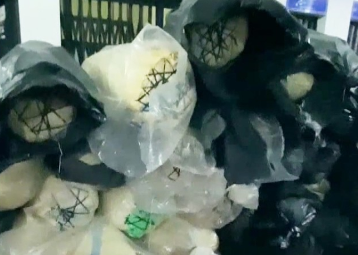 ක්‍රියා විරහිත කළ කෝටි 8ක දේපළ – කෝටි 10ක ගංජා තණමල්විලෙන් (VIDEO)